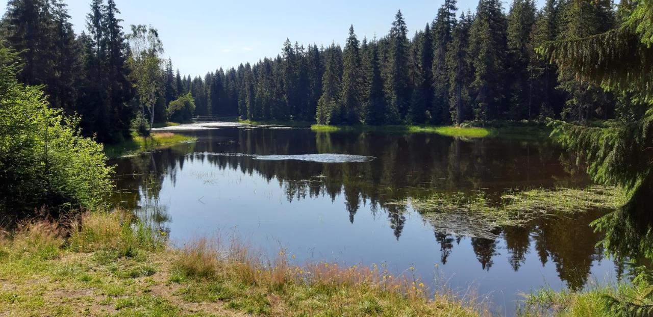 Penzion Jizerska Malina Bedrichov  Luaran gambar